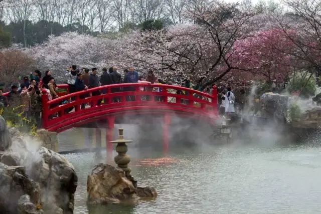 http://r.sinaimg.cn/large/article/6bd369f857dccc3caad266781f2e4c5c
