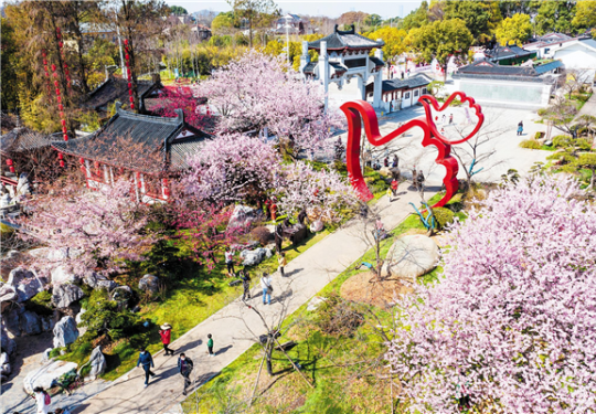 2023武汉东湖樱花园赏花攻略(时间+地点+门票预约+优惠购票)