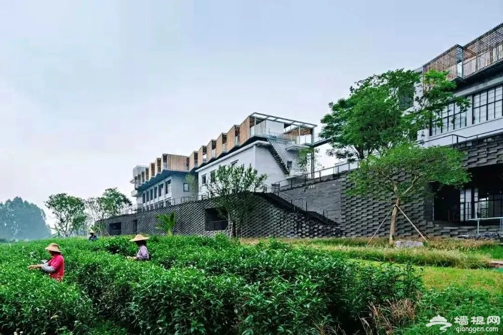http://r.sinaimg.cn/large/article/ca2eae81915483cc55152d0197eec613
