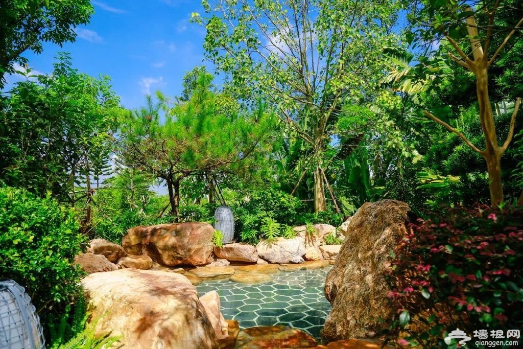 http://r.sinaimg.cn/large/article/bf1b9f4cacab9f7f59a1bb4e720a52f3