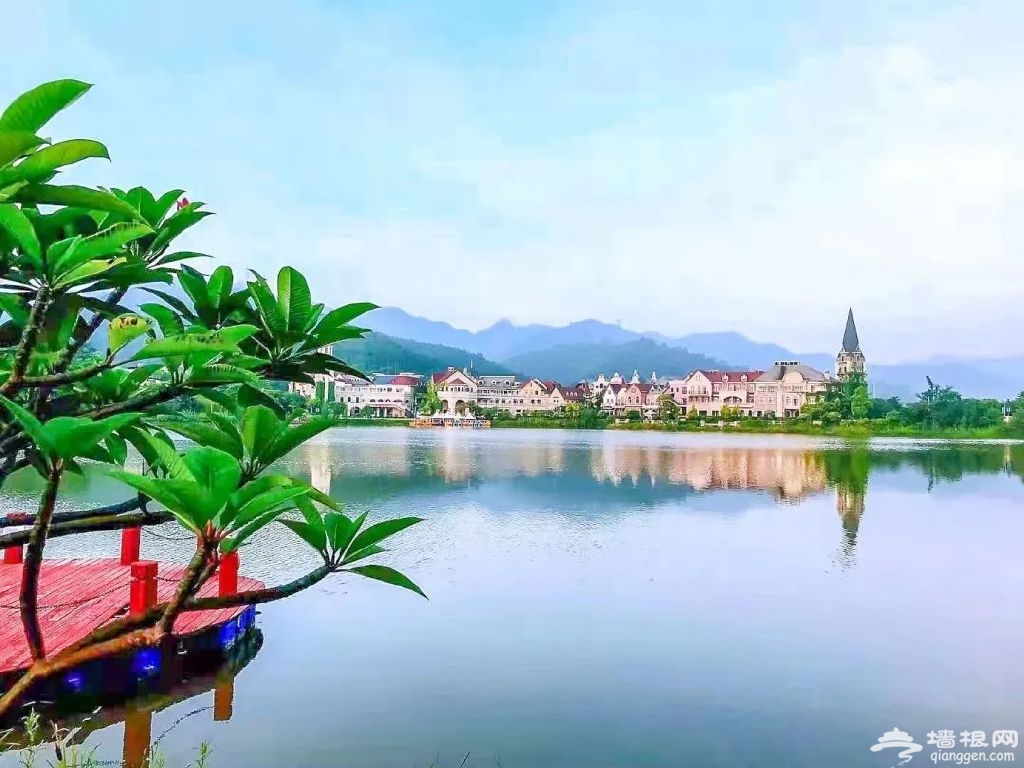 http://r.sinaimg.cn/large/article/48c67f924dc30f7088bf2df6837c86e0