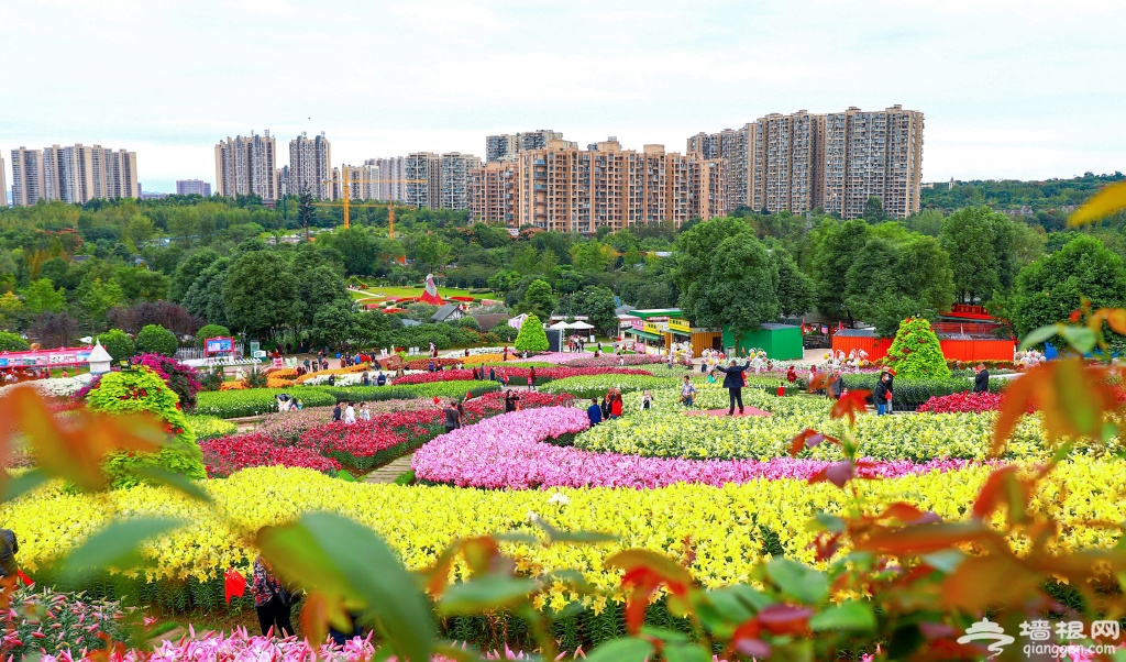 http://r.sinaimg.cn/large/article/7905aa5361b815eb09a2bd0d98d28753