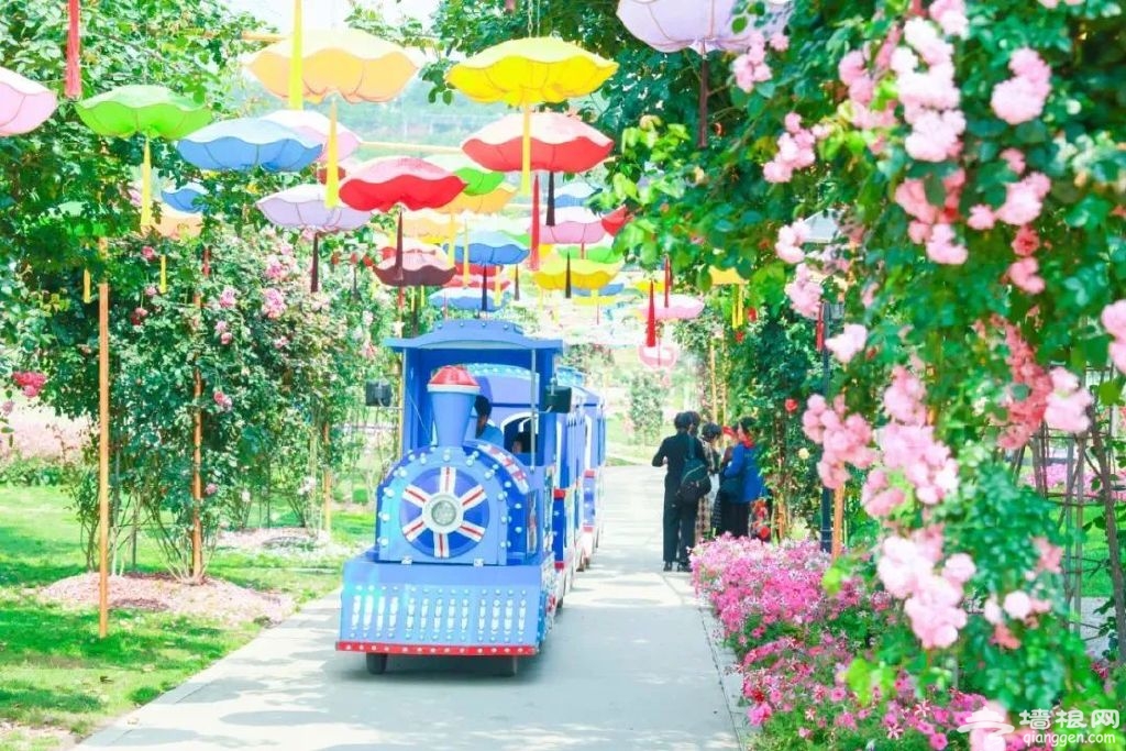 http://r.sinaimg.cn/large/article/13c8b550ca8263248e41e9f1fd1e60aa