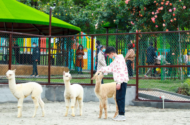 http://r.sinaimg.cn/large/article/8dadae9e4f5756e4ee3072ecb17af95e