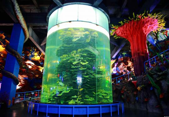 永泰欧乐堡海洋世界简介(营业时间+门票价格+主题场馆+游玩攻略)