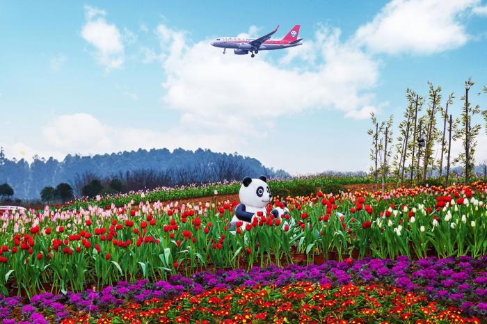成都空港花田国际光影艺术季