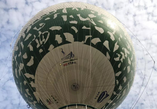 2024杭州西溪氦气球（时间+地点+优惠+门票票价）