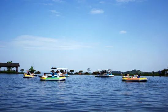 http://r.sinaimg.cn/large/article/027a259c31eb8cec076047e52ea3704d