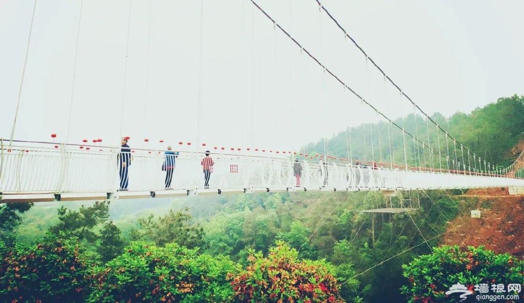 http://r.sinaimg.cn/large/article/425b99b5298023cd084f101b08d24ad8