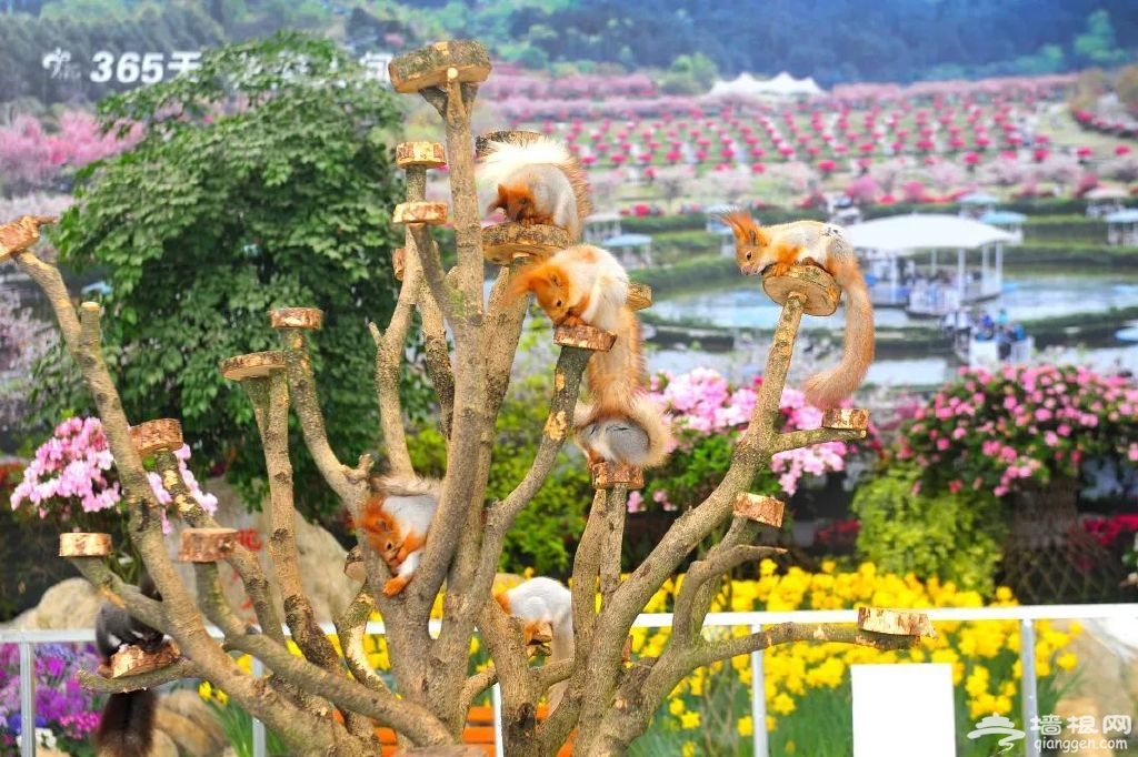http://r.sinaimg.cn/large/article/1c200d6622d5c022abe08b07e22a71b1