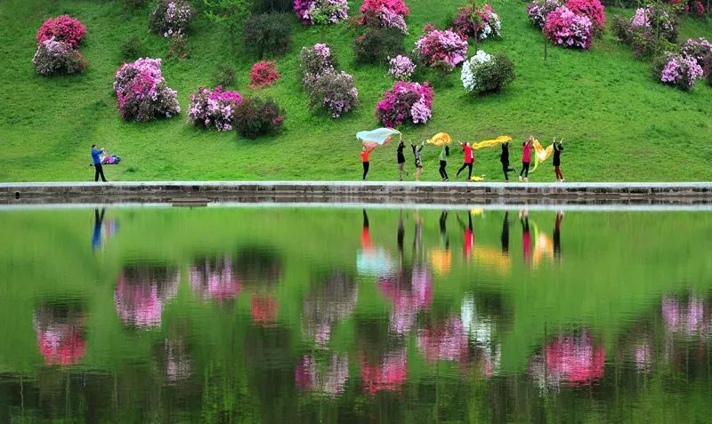 http://r.sinaimg.cn/large/article/34ff5ab3aedfb25de0f13c12eb890cf8