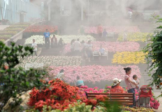 2024花舞人间门票价格、免费购票、景区介绍