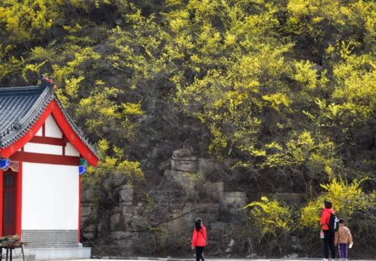 2024青铜山大峡谷（门票价格+购票网址）