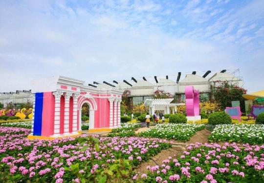 2023广州南沙百万葵园开放时间+地址+花期+门票预约+票价