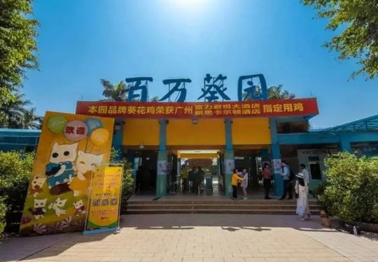 广州南沙百万葵园营业时间、门票价格及游玩攻略