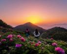 華夏牡丹園
