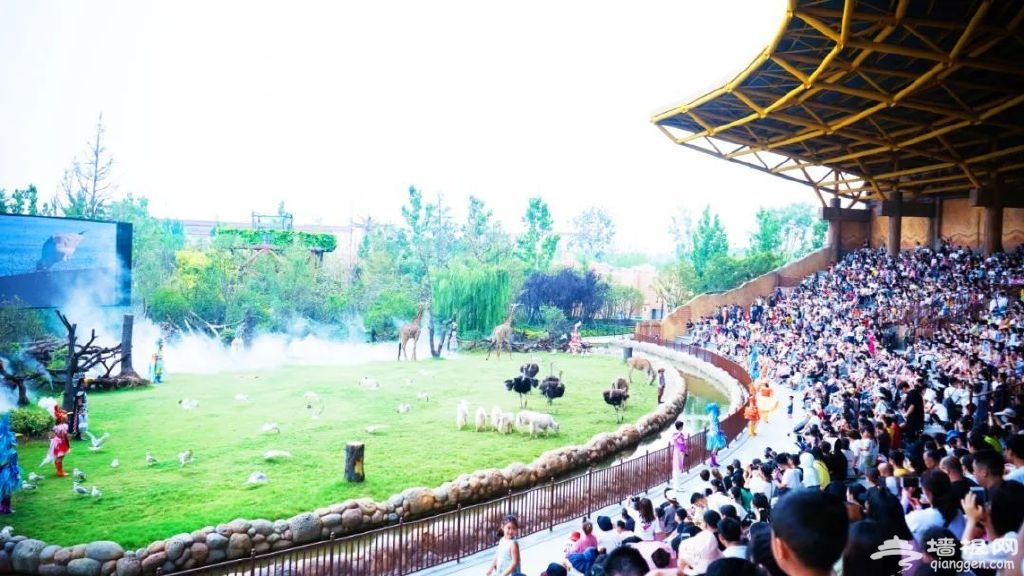 http://r.sinaimg.cn/large/article/b4bb5044d3d4bba7a67dad1655856dfe