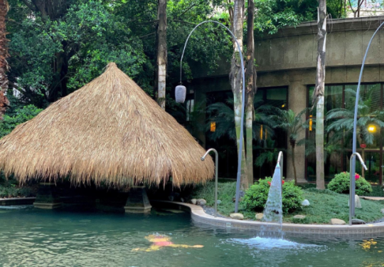重庆海宇温泉大酒店(地址+门票价格+优惠政策+开放时间)