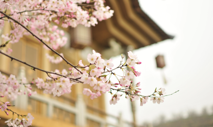 /uploads/image/2022/04/15/0de1acc81ebb73b8bcb566e799539eaf.png image.png