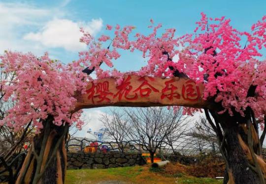 2023杭州樱花园门票优惠政策、游玩介绍、最佳赏花花期