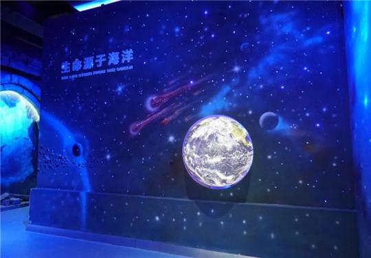 上海嘉定海洋世界营业时间、游玩项目、最新攻略、门票价格
