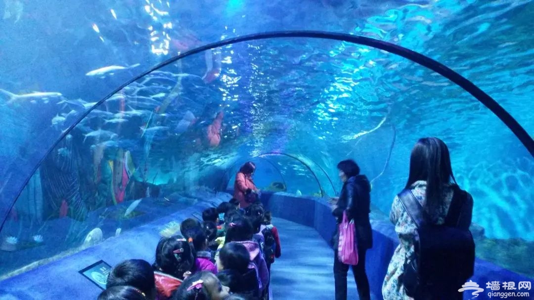 微信图片_20220414143840.jpg 微信图片_20220414143840.jpg