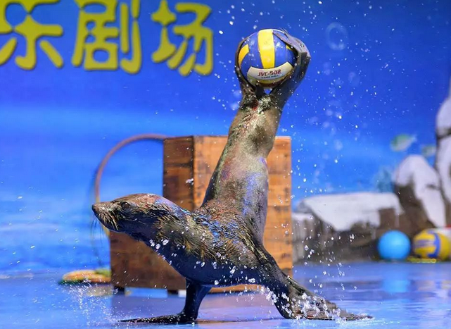 重庆欢乐海底世界门票 重庆欢乐海底世界门票