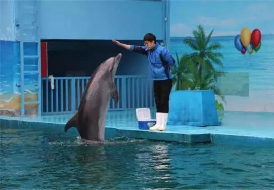 郑州锦艺城海洋馆门票价格表2024（附免费政策+游玩指南）