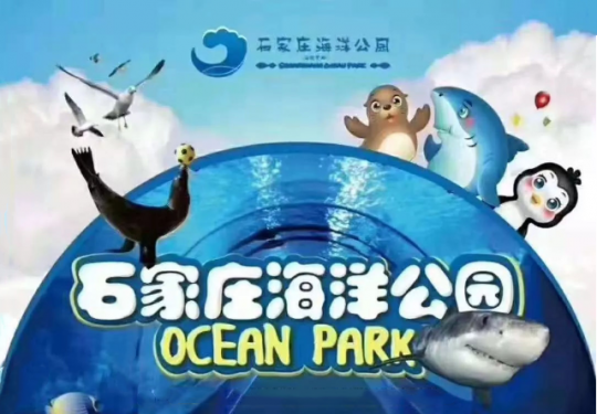 石家庄海洋公园门票是提前预订吗？哪里买便宜？