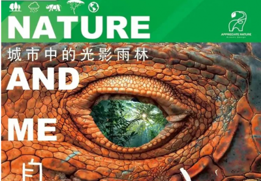2023北京自然与我城市中的光影雨林展时间及地点（附门票价格+展览详情）