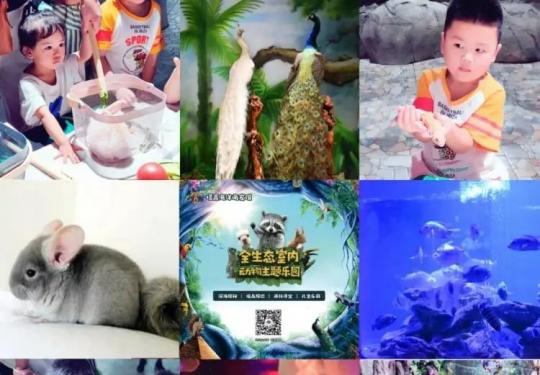 2023苏州塔高海洋萌宠馆门票多少钱？(开放时间+地址+游玩攻略)