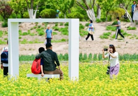 北京温榆河公园油菜花田打卡点在什么位置？