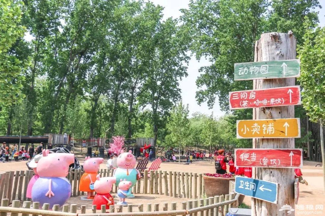 图片 图片