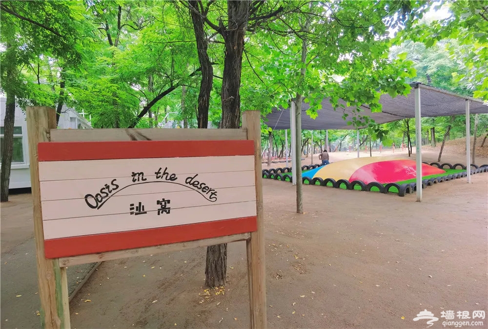图片 图片