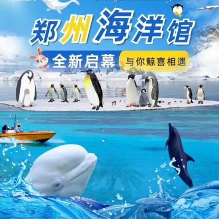【郑州海洋馆】成人票209元！看“人鲸之恋、海豚传奇、海狮竞技”三大王牌演出！带你体验唯美的蓝调深海之旅！