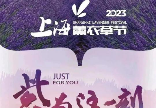 低至39元抢「2023上海薰衣草节」亲子门票，打卡浪漫花田 31000㎡浪漫花田，集市美食、潮流文创、时尚派对，一秒坠入紫色海洋！