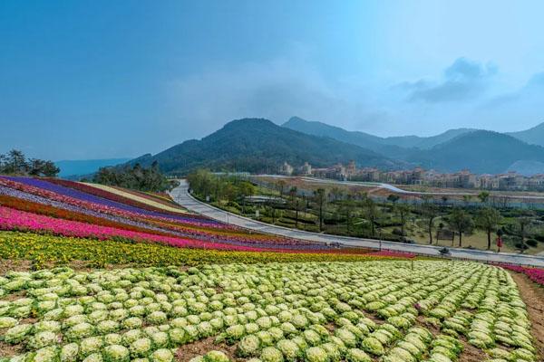 2022漳州十里蓝山景区门票价格 附夜景门票及游玩项目票价 2022漳州十里蓝山景区门票价格 附夜景门票及游玩项目票价