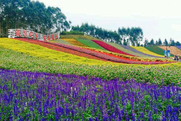 2022漳州十里蓝山景区门票价格 附夜景门票及游玩项目票价 2022漳州十里蓝山景区门票价格 附夜景门票及游玩项目票价