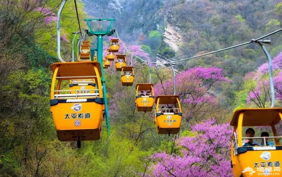 微信图片_20220409144933.jpg