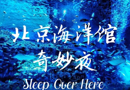2023北京海洋馆奇妙夜报名（活动时间+活动介绍+门票购票）