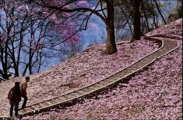 http://r.sinaimg.cn/large/article/1d5e184f3f3d1419e227773b5a8cce7d