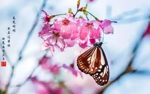 http://r.sinaimg.cn/large/article/a32a3837d51fda328d0e7d0d08d332c1