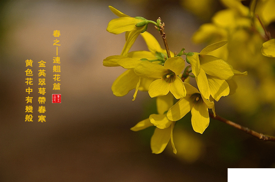 http://r.sinaimg.cn/large/article/0a9125390148ea0a07dc97a3f83f4aca