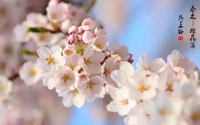 http://r.sinaimg.cn/large/article/73fd5825c4985fe49f62078131743190