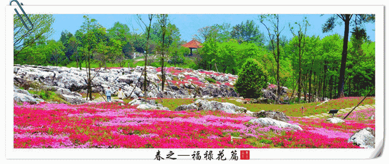 http://r.sinaimg.cn/large/article/18d17a5caf762fda3f7b354a2accc9d1