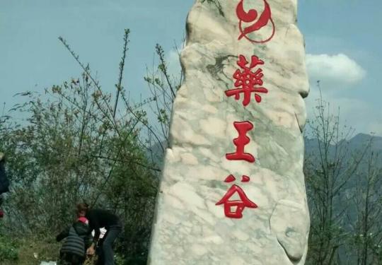 2023绵阳药王谷门票价格及免费政策（附交通指南）