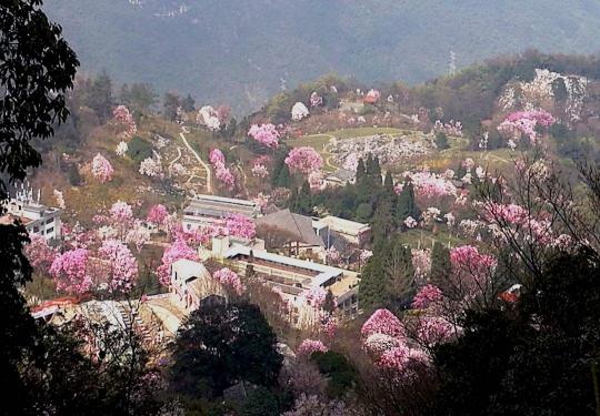 2023药王谷门票及景点（优惠票价+开放时间+旅游攻略）