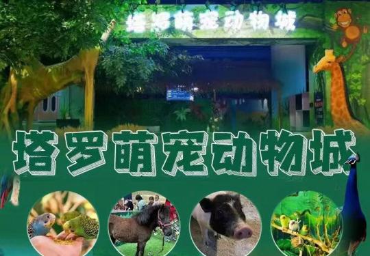 保定塔罗萌宠动物城在哪里?游玩项目有哪些?