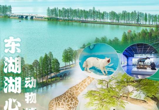 武汉东湖湖心岛动物博物馆地址及开放时间（附门票预约入口）