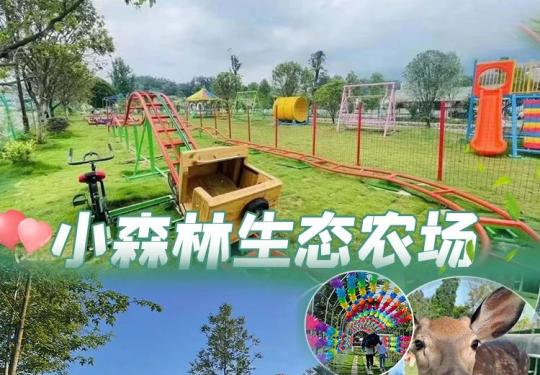 合肥小森林生态农场怎么样（开放时间+地点+门票价格）